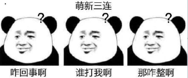 超大熊猫头表情包