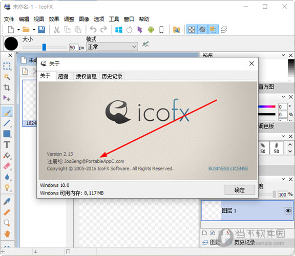 IcoFX2破解版